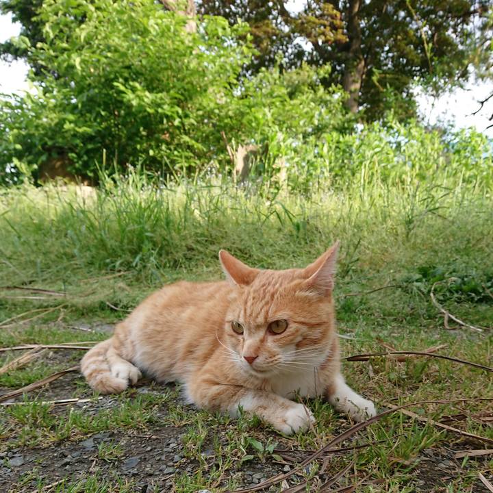 D0f4f97f 9727 406e b06e 2443a9f7d835 1590311194296