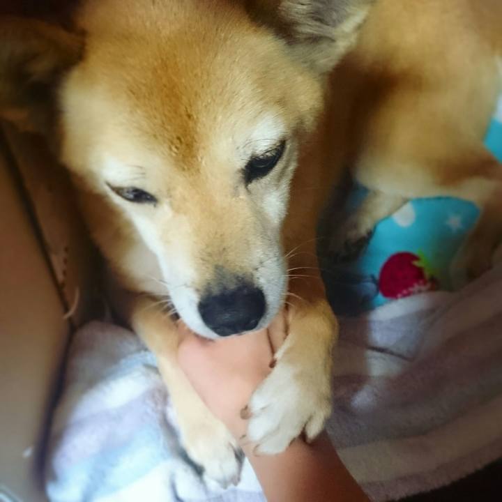 D0f508f2 e797 4905 ad59 2cc015d4441d 1527096978897