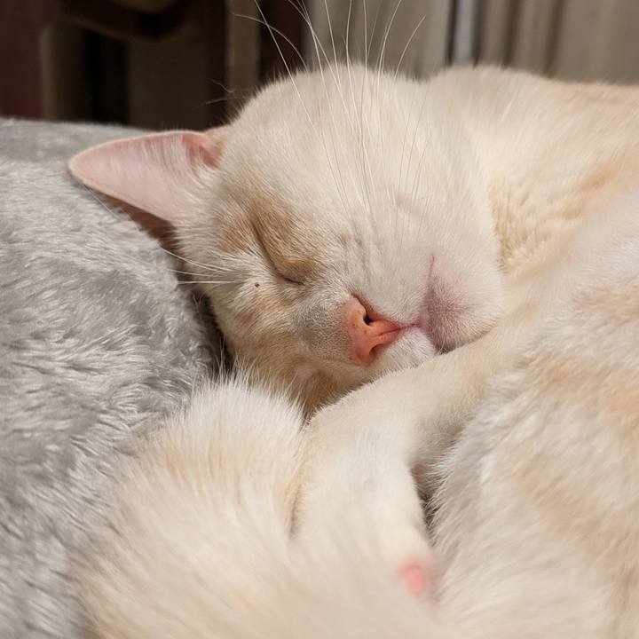 D0f5290f 8c92 4834 b924 d8d05ccf0f52 1698141413082