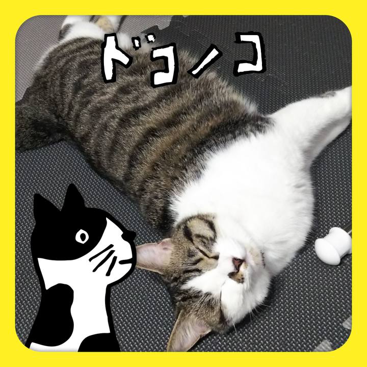 D0f57fb6 6332 47cb ad5f 1191a86fd053 1622968451239