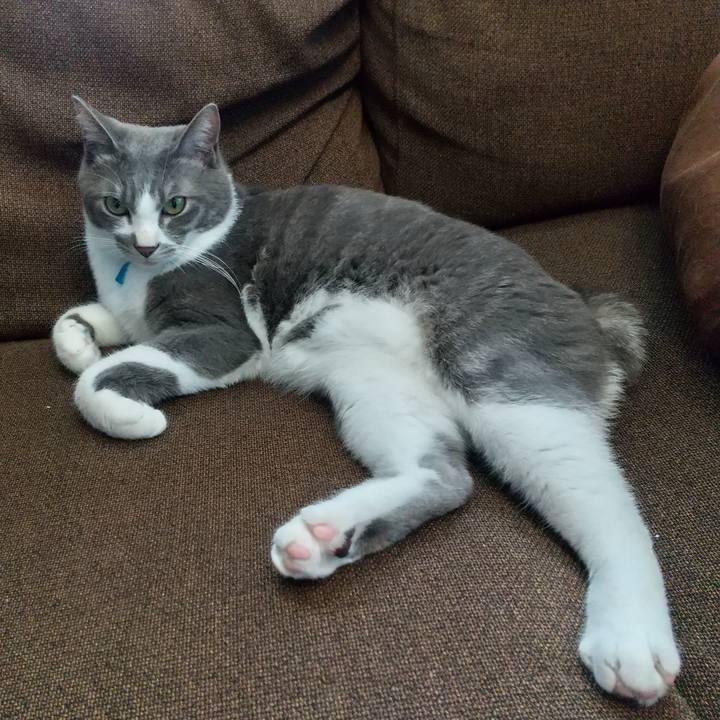 D0f58779 3280 46af b67e fd9c3d6ab0b8 1617846176549