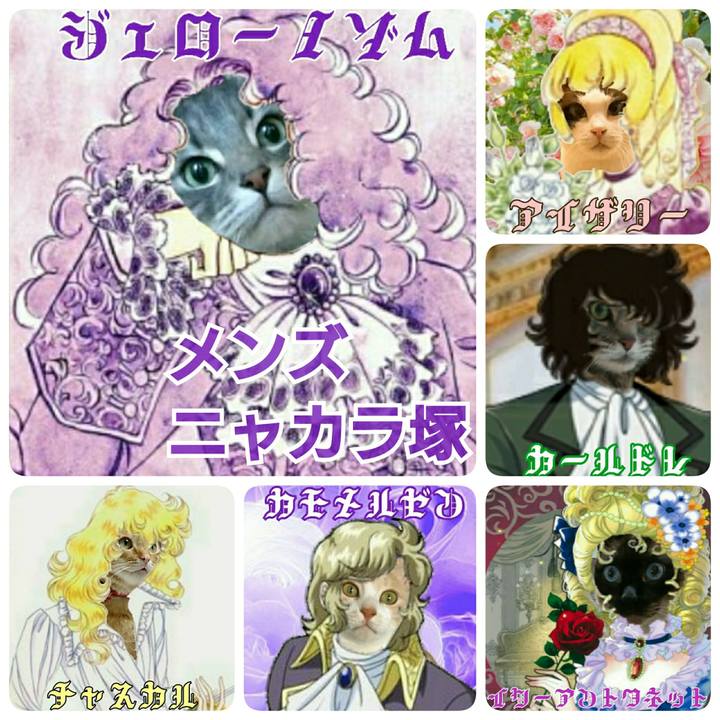 D0f5a8c1 374a 4ad3 9053 013eea7ed799 1527943551678