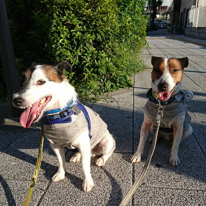 D0f5ad14 53dd 468b 9dfb be1f21630ed0 1564954109129