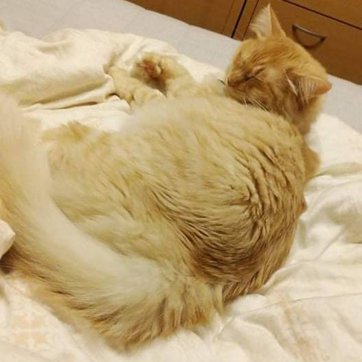 D0f5ca8d eb83 4d1d a9c2 b0ae24e0bb7b 1631618488329