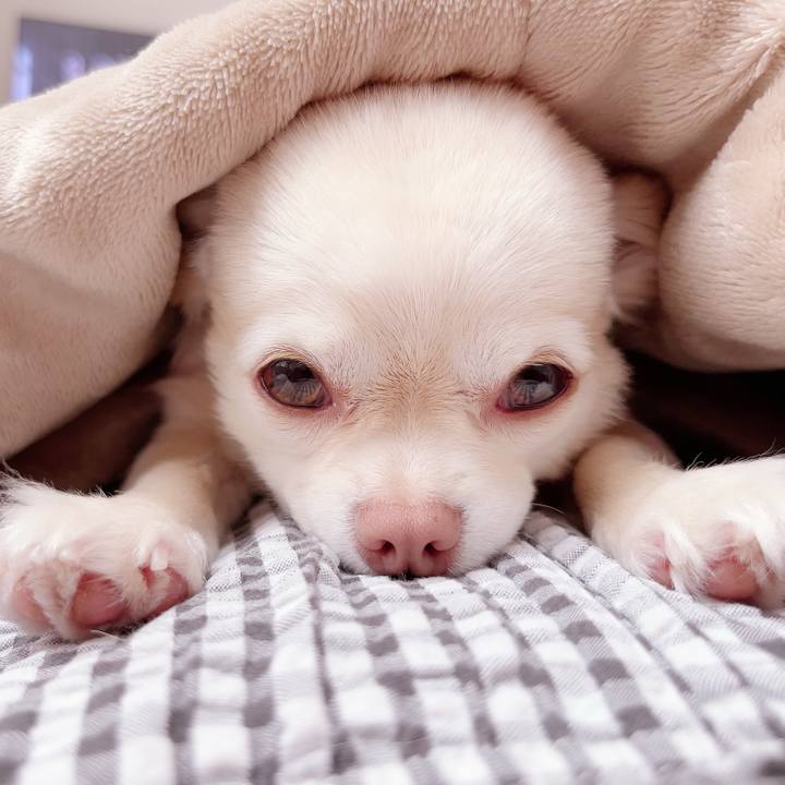 D0f5e01a 62bf 4790 bf52 ec08417c9795 1686378589819