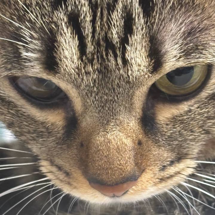 D0f601ea 9171 44e1 80d4 d41ba7d14e0e 1766193911783