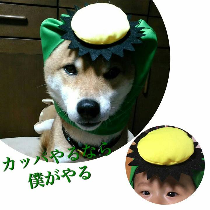 D0f62194 0b18 48ae 81e9 4b62dbb768f6 1545490241496