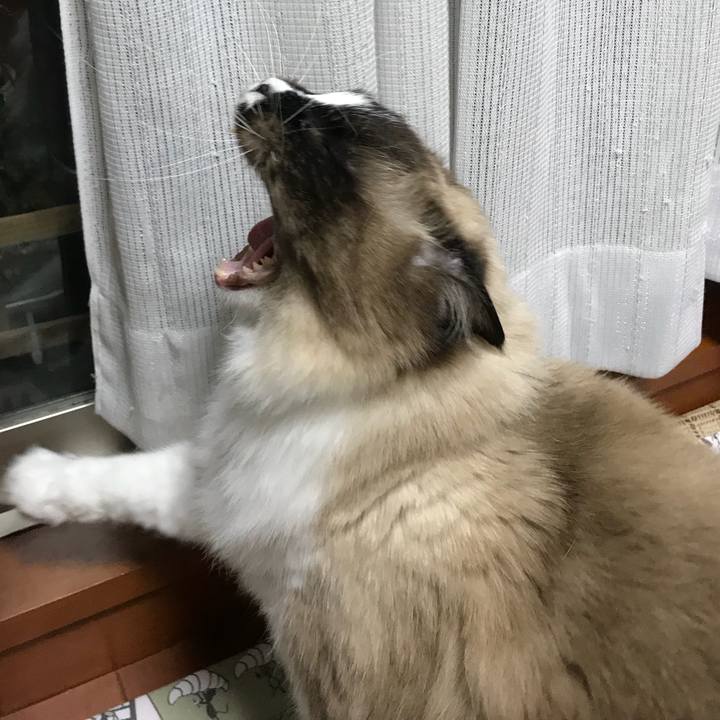 D0f63047 2a64 4c54 867b 973b666ae643 1517310239286