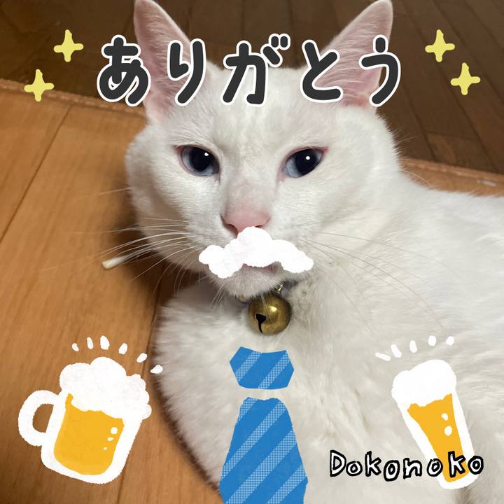 D0f641b9 b7bf 40fd 9df8 dd0c648ff850 1718268226478
