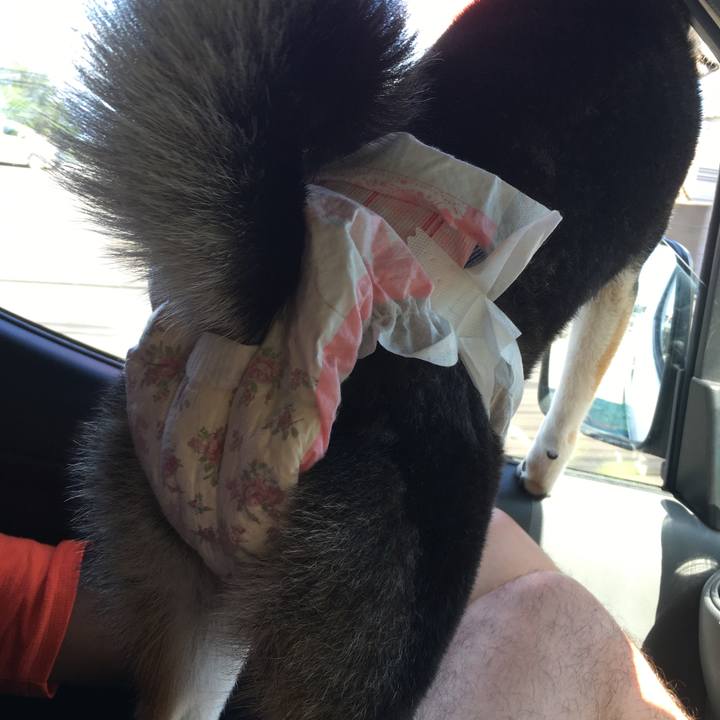 D0f642ab 8a1d 4c2b 97a8 537bf9d30b52 1628411863434