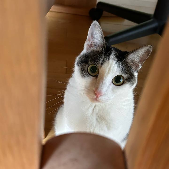 D0f6aa7f 76ee 4621 92b2 9aaade347752 1758636169391