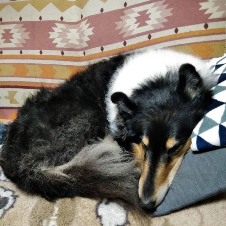 D0f6acec 1810 4b9c ab22 6f773bb1825c 1544624682939