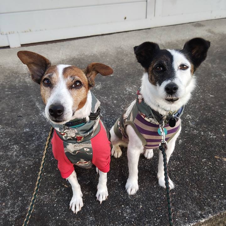 D0f6bb7c f7b0 46df 8565 e947712db98a 1758750975717