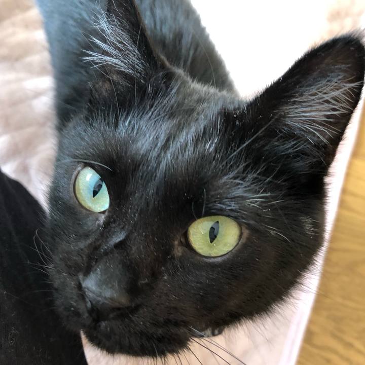 D0f6d626 1880 407a 932c 188601cded3d 1560548853818