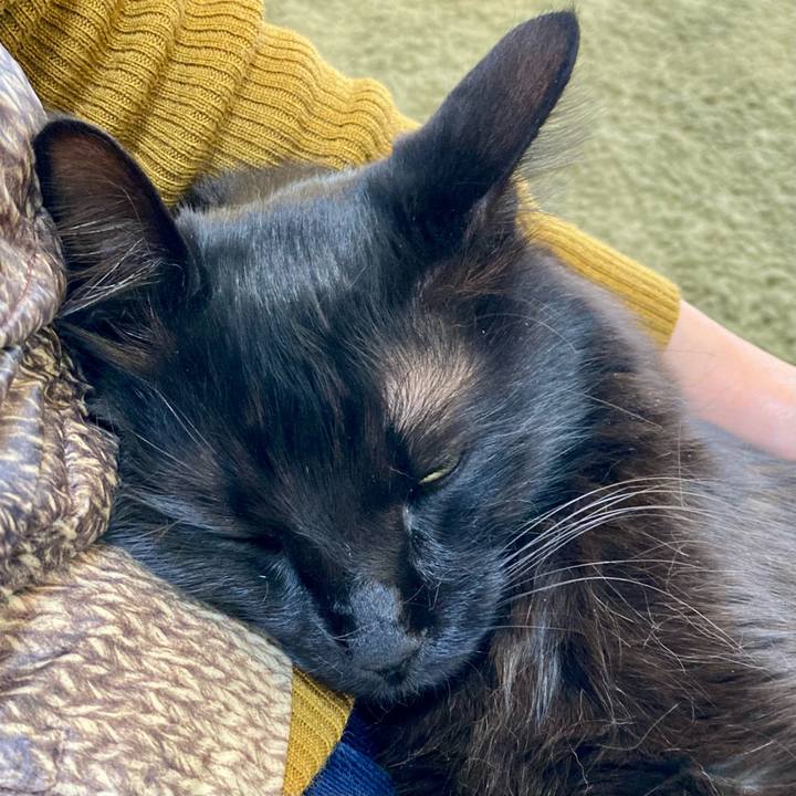 D0f70496 72d9 4c46 84b8 0cf20acb3305 1739178305758