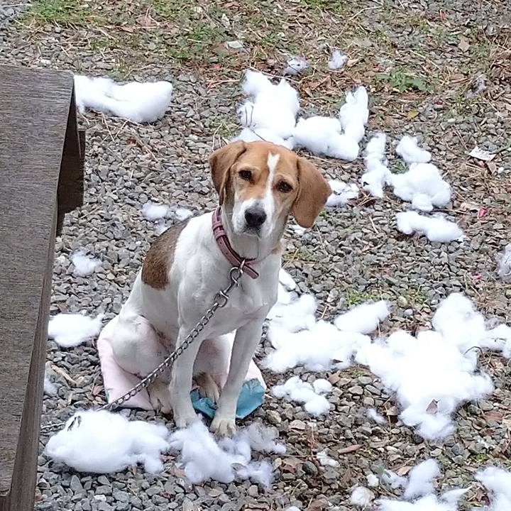 D0f72cb0 25fd 4a5a b648 2e6332d4a190 1577604232915