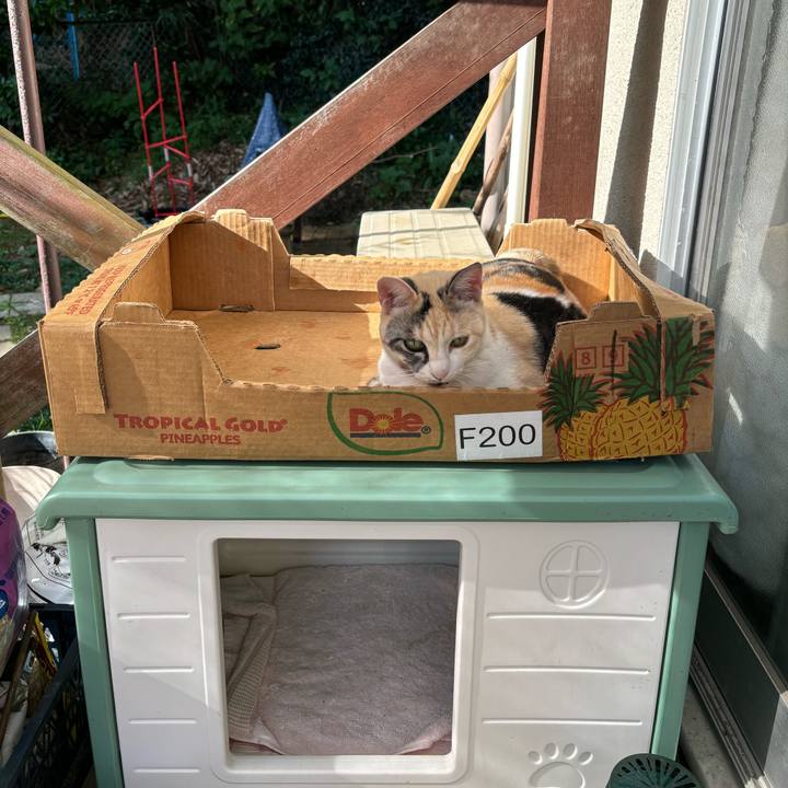 D0f761e5 0f98 4284 b423 7a3fa6f6557e 1697416048461