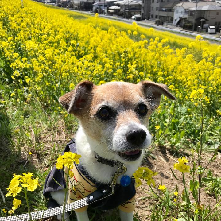 D0f76ae5 2f77 495d be6d 287f771f4e08 1616044516978