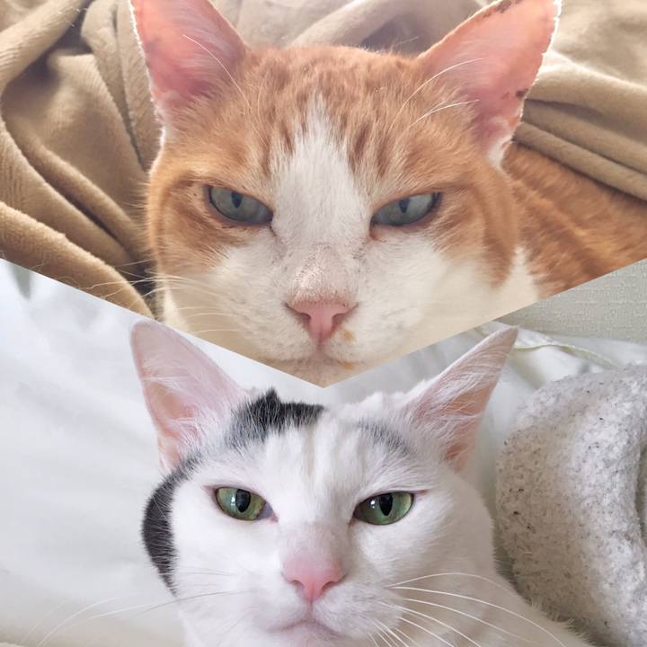 D0f77d2a 65fd 4473 9c2d 051d338f00a6 1587709705927