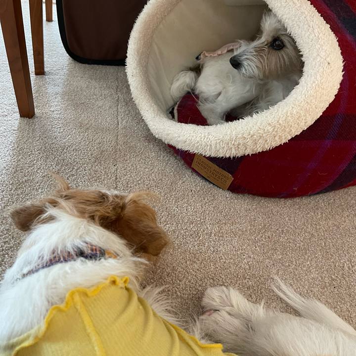 D0f7b243 c9e1 46a8 98ea 1b00dcfa4c95 1760600097633