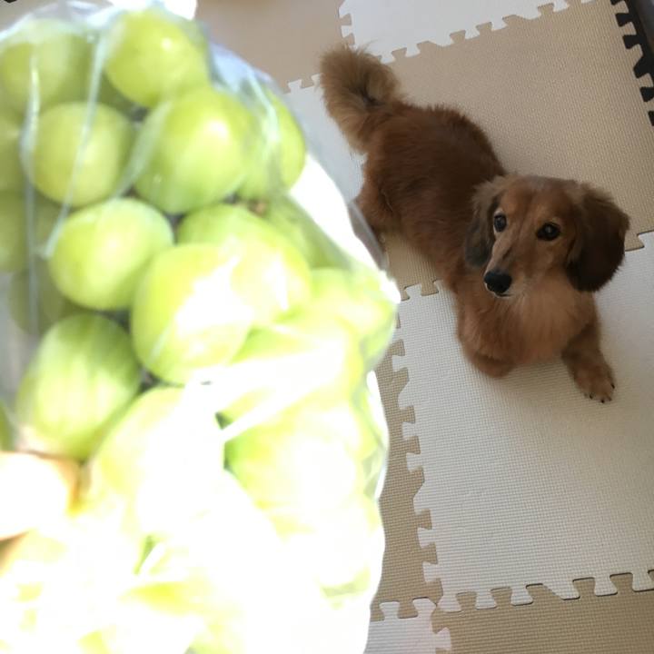 D0f82298 3ae5 4ede 98cc 7c266e729978 1628085495015