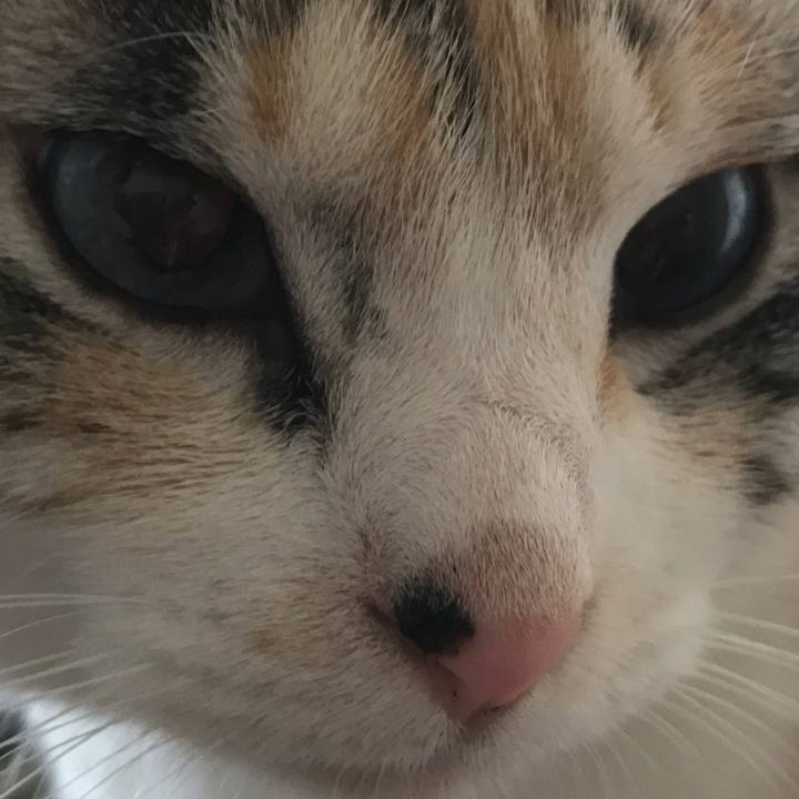 D0f827cb 0ce8 4271 852d 502c30b94870 1527250135602