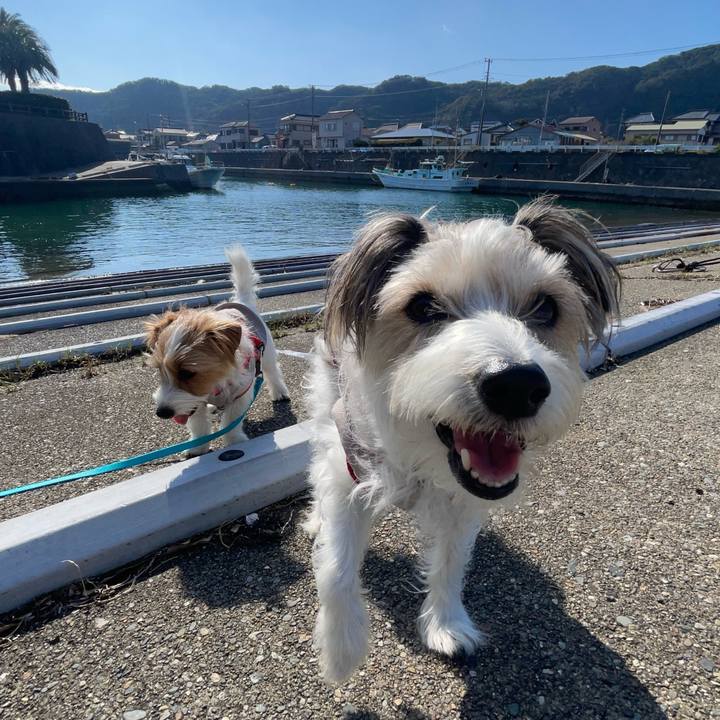 D0f87d7a 63d0 428f abe9 6582802dc98a 1773320571130