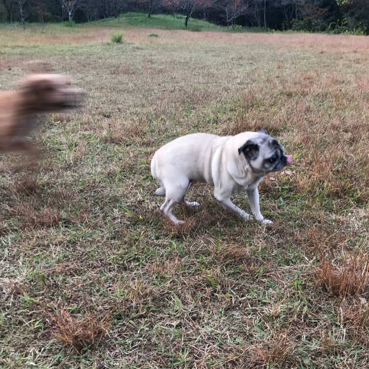 D0f8d40c 0daa 49bf 91d9 50503e4b953e 1572184294942