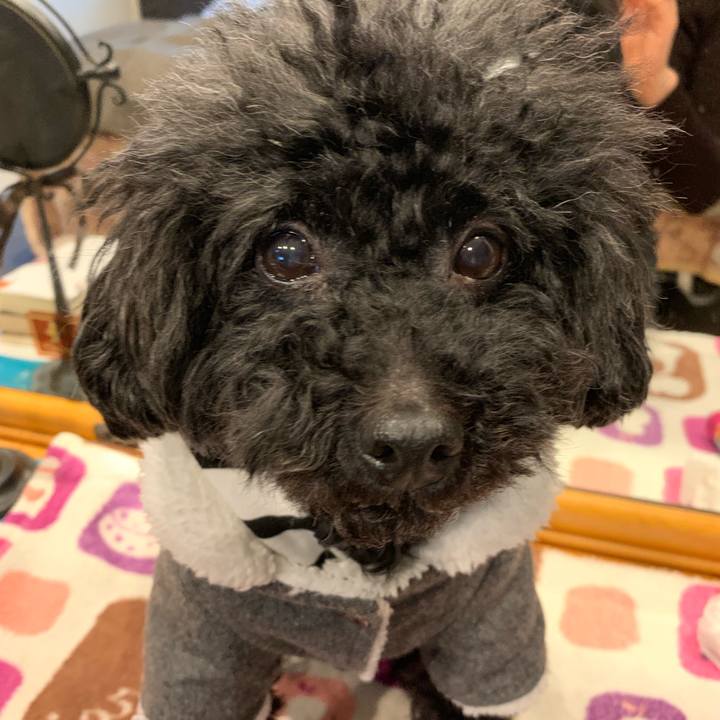 D0f9094a 1cf1 4907 b626 6d93623d33b1 1551133967074