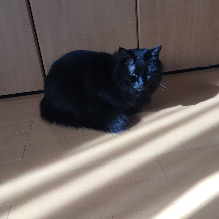 D0f927ef 1dfa 4b2c 82a6 1a2151747b1d 1558145455070