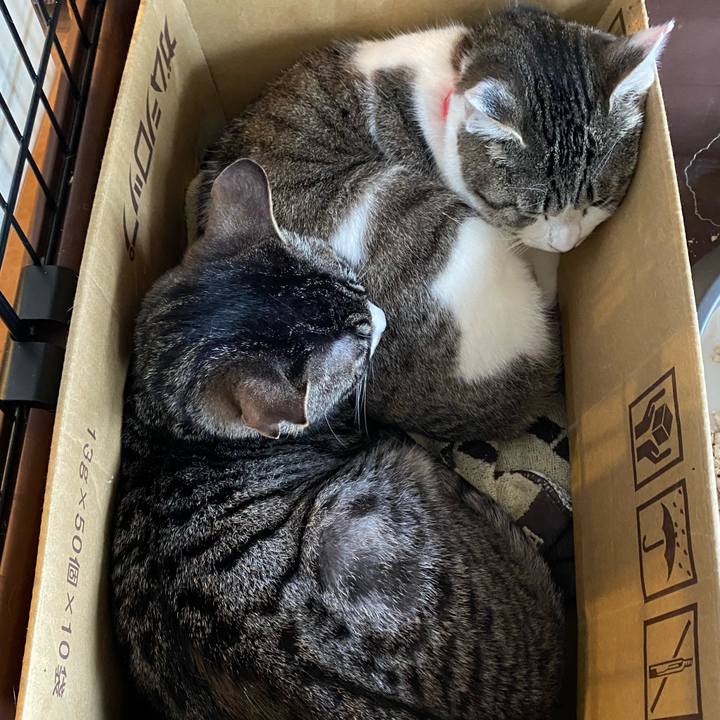 D0f9812c be55 49f5 8464 b48db0e2e354 1711245845116