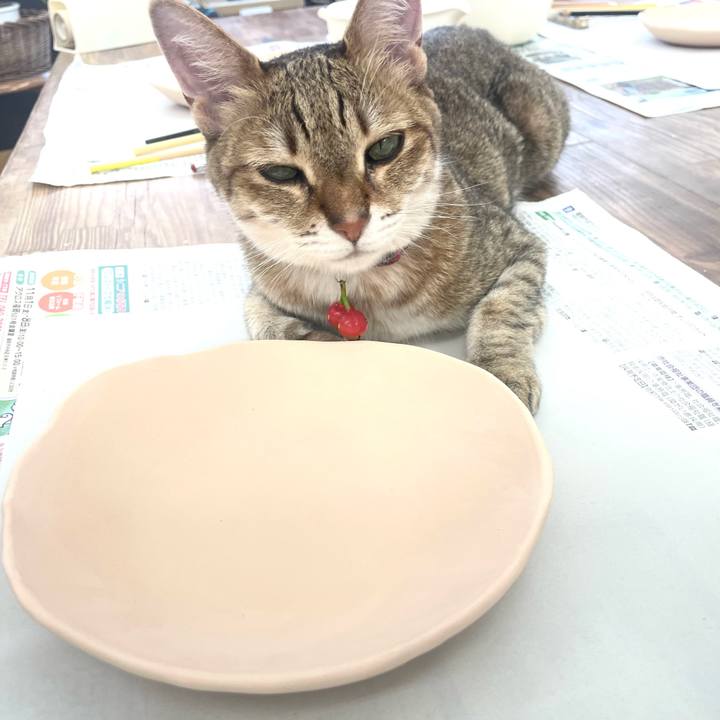 D0f9a6db 1f63 4b7f b3fe 8a6b70682c7b 1754013022013