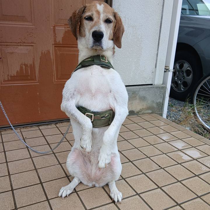 D0f9aa7d aaf0 4332 991c face7d1ca1d5 1751598967530