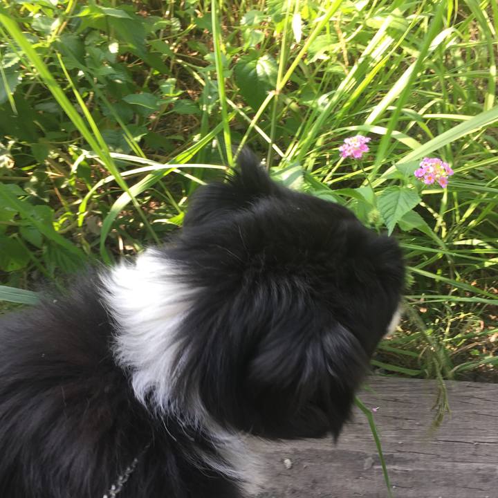 D0f9b677 2a5e 4f8c 9d4a 49c0960597aa 1534634459159