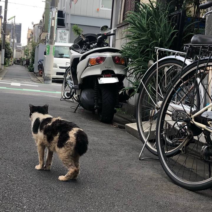 D0f9c565 ee69 4057 901f 880c2655752b 1566721091460