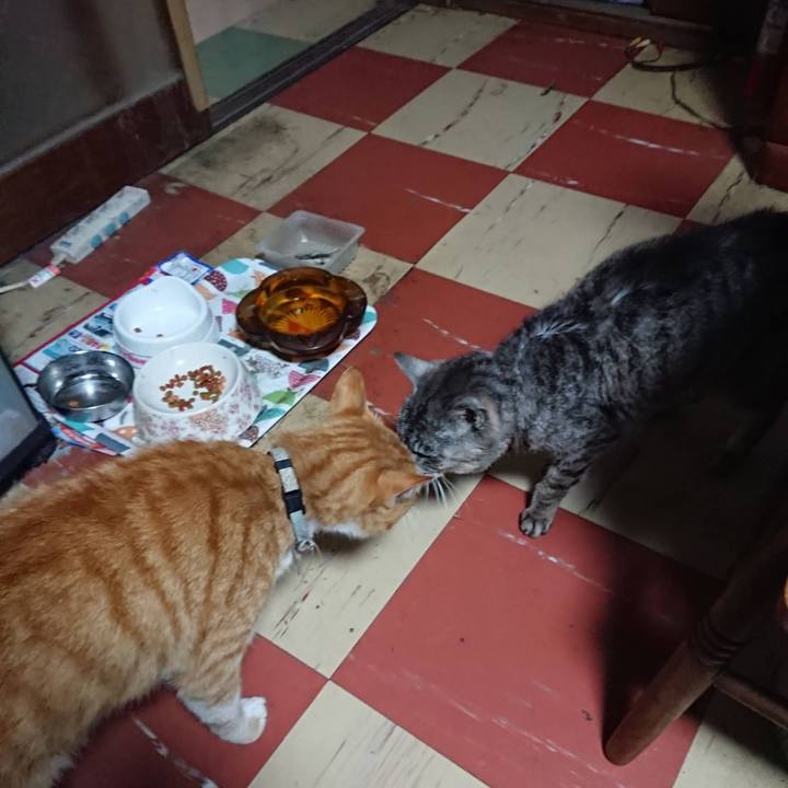 D0fa0278 ba54 466d be62 8f001ffc9ebb 1595017331462