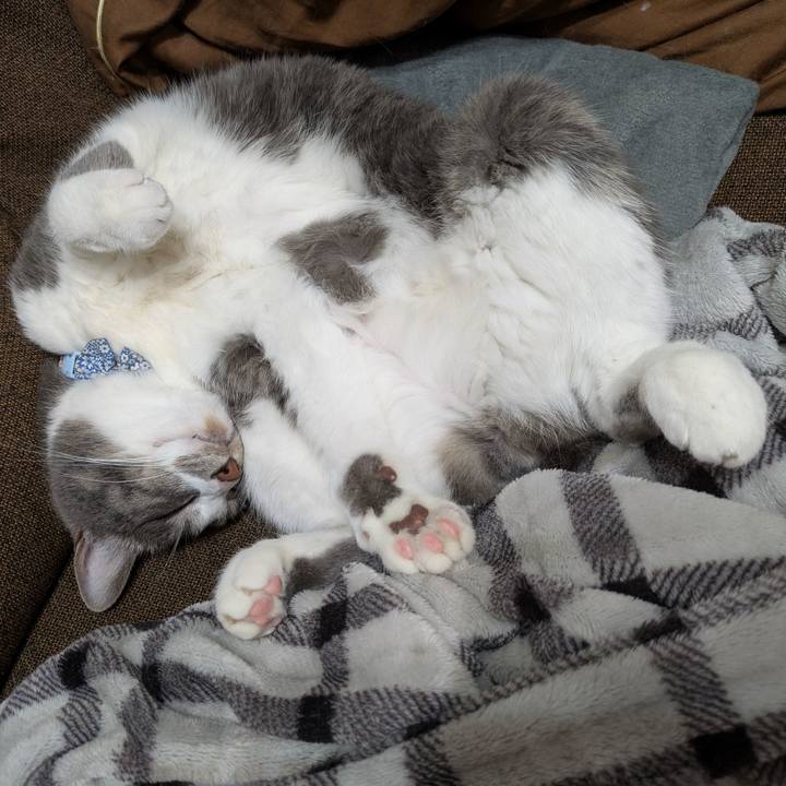 D0fa0804 4fe9 412a 9a3a 536e9878d696 1746024030081