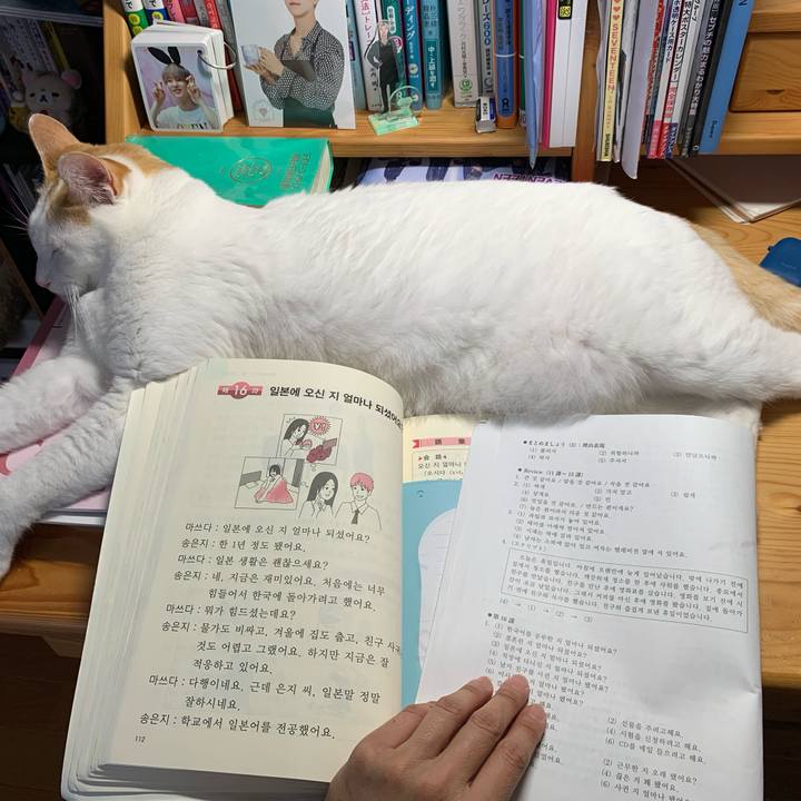 D0fa40d7 60b9 4af3 86d0 099d2e1ed400 1596879417810