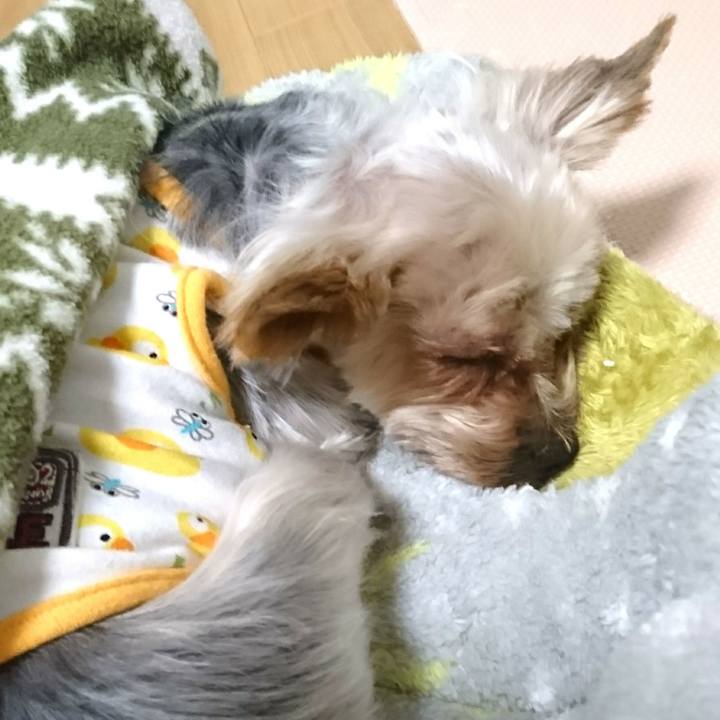 D0fa51b2 2e65 4bb7 9586 cb9e748de9fe 1518915428783