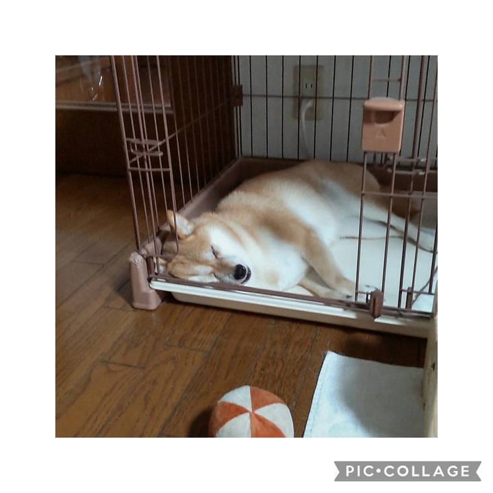 D0fa7d19 ca27 4eda 8c92 824f6ed78e3f 1756099623307