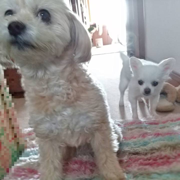 D0fab3f0 3e12 44eb bda8 7a4dc5bc2306 1585861398059