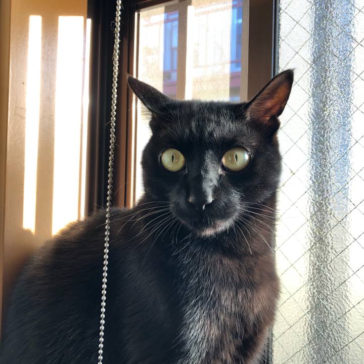 D0fac8a7 57df 4497 b67a 6076926959ac 1555362831415