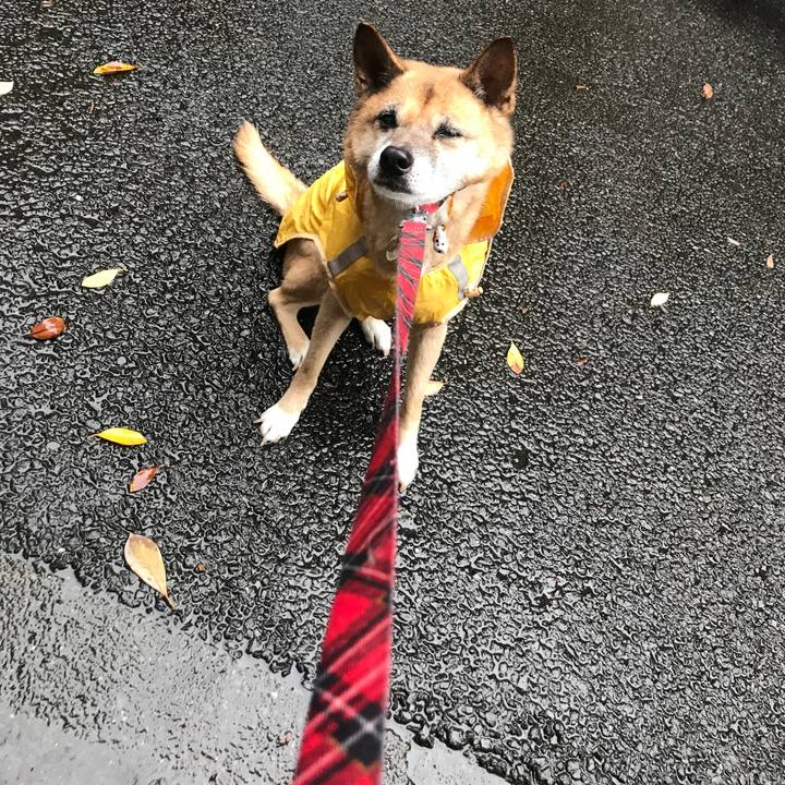 D0facc96 2be5 48d0 84c5 69d3f20caf21 1570461728028