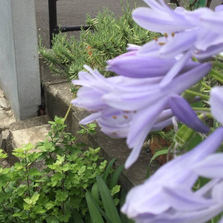 D0fae8ca 697e 43c5 ba5a ebd291ffe590 1562052908707