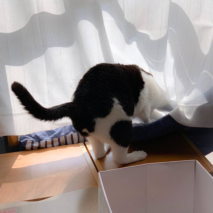 D0fafae5 924a 4555 b901 4d5b15e26d4e 1561337489057