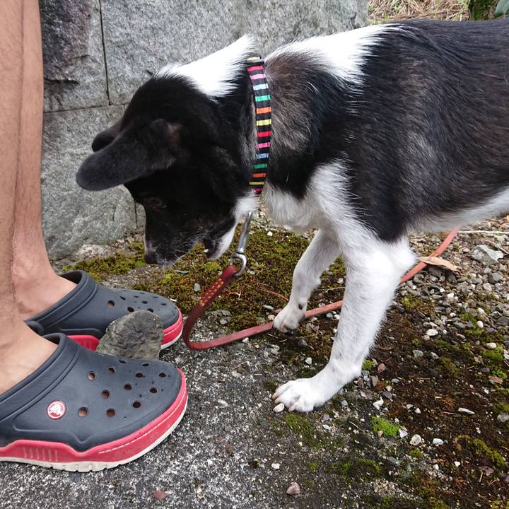 D0fb2890 3acb 4f02 ab2a 6115c43fe359 1597275538000