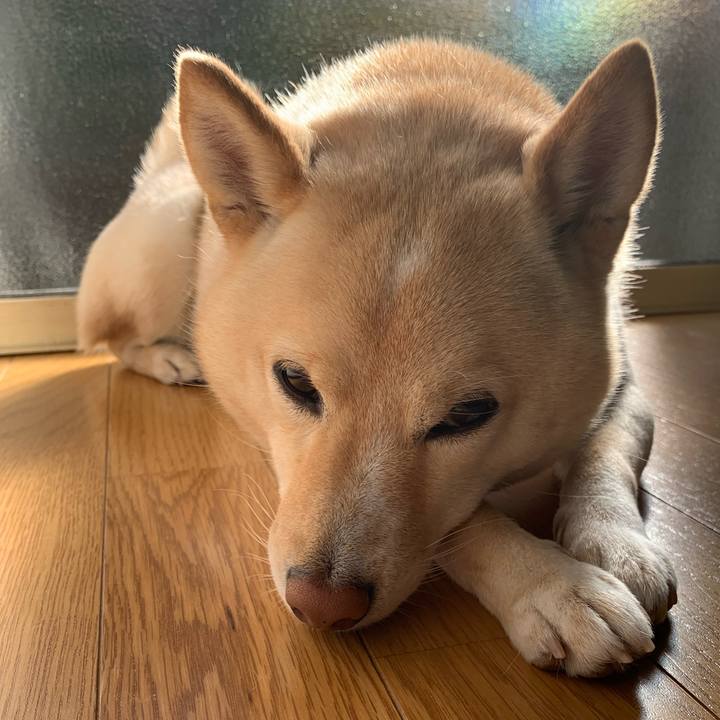 D0fb43bf 8697 468b a054 f2dd5e814830 1639709515981