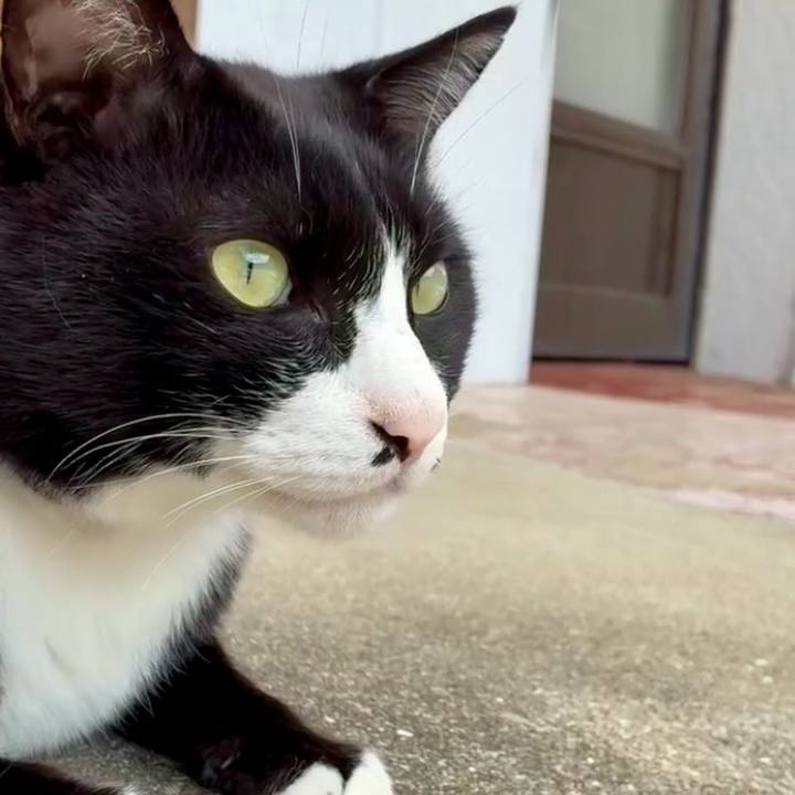 D0fb582b 6b1e 447b a1bb 0027e797137b 1746584978363