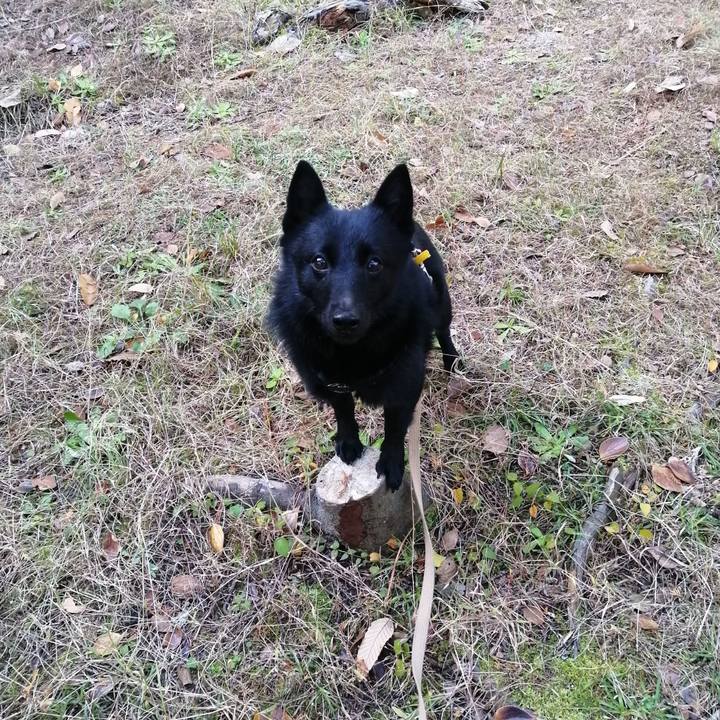 D0fba5e3 095a 4149 a39e 5a9b9dc699b3 1669505616939