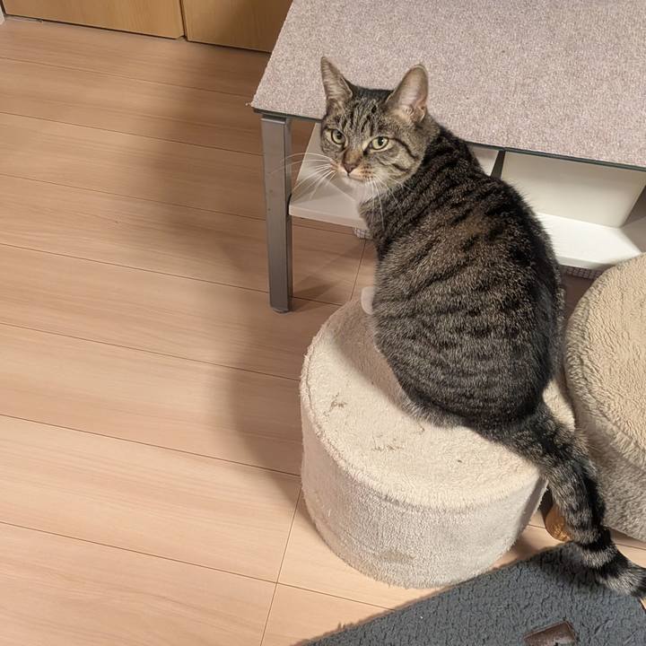 D0fbe0fa cfdd 4f79 8d4b 59671adbd439 1767358853943